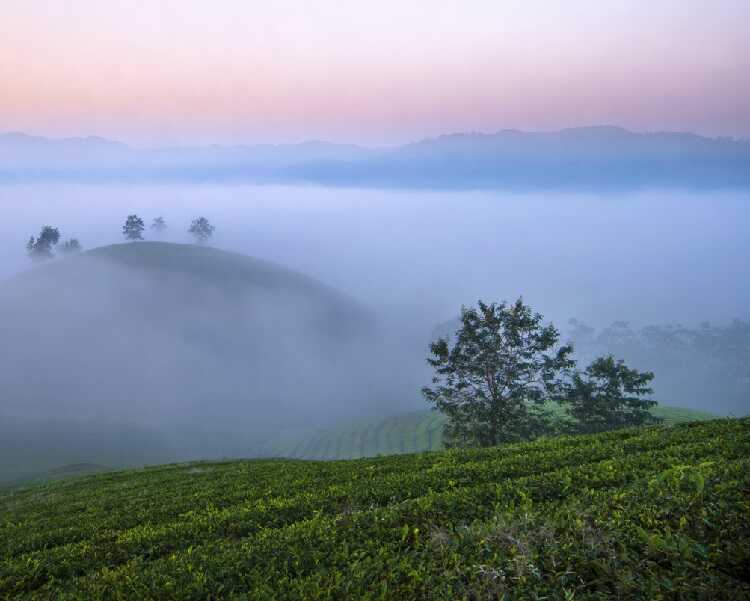 săn mây