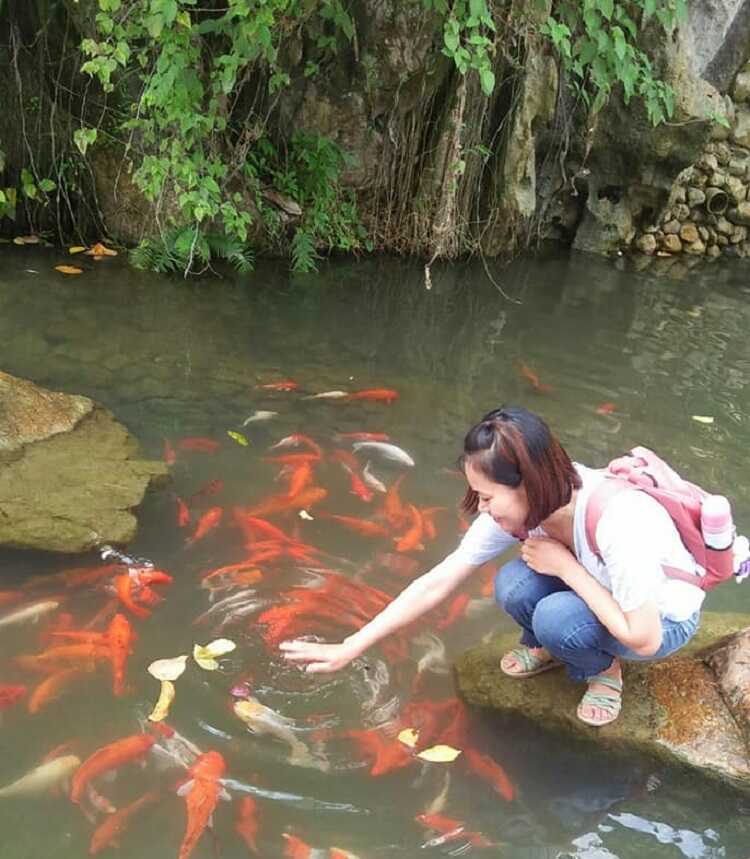 hang phượng hoàng