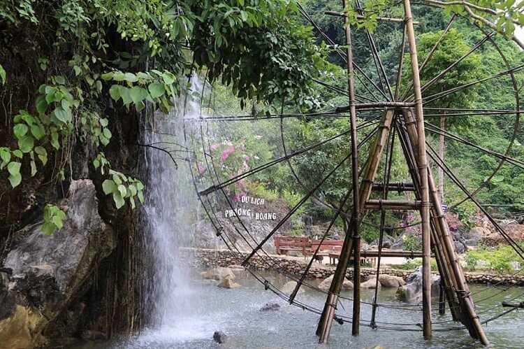 hang phượng hoàng